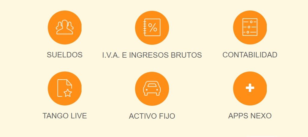 roevo consultora